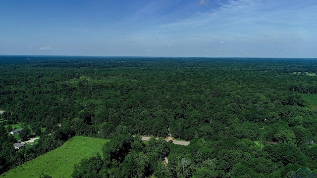 5680 S State Highway 43, Jefferson, TX 75657 - photo 40