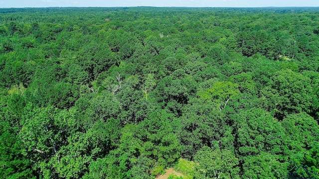 5680 S State Highway 43, Jefferson, TX 75657 - photo 37