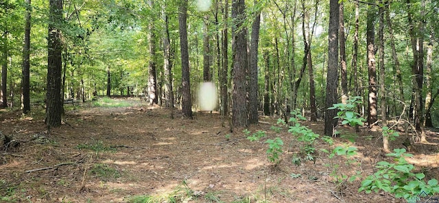 5680 S State Highway 43, Jefferson, TX 75657 - photo 27
