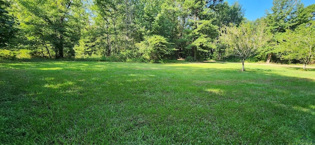 5680 S State Highway 43, Jefferson, TX 75657 - photo 7
