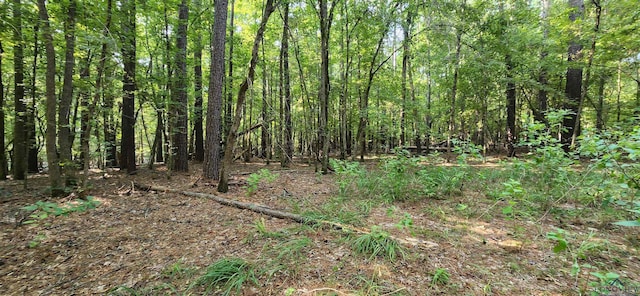 5680 S State Highway 43, Jefferson, TX 75657 - photo 24