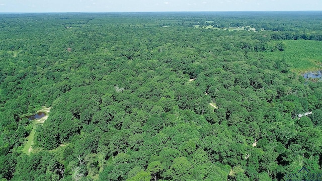 5680 S State Highway 43, Jefferson, TX 75657 - photo 38