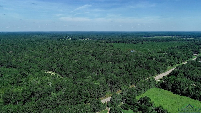 5680 S State Highway 43, Jefferson, TX 75657 - photo 36