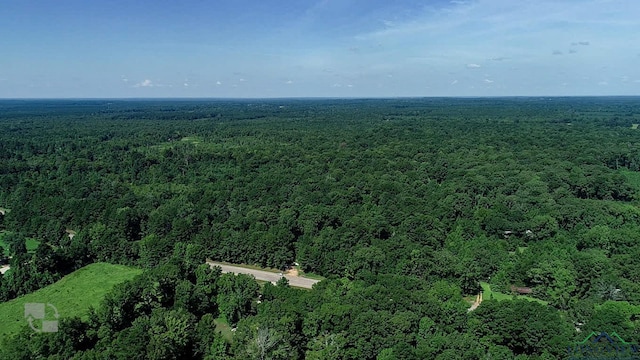 5680 S State Highway 43, Jefferson, TX 75657 - photo 35