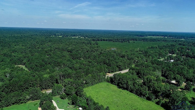 5680 S State Highway 43, Jefferson, TX 75657 - photo 44