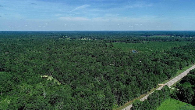 5680 S State Highway 43, Jefferson, TX 75657 - photo 39