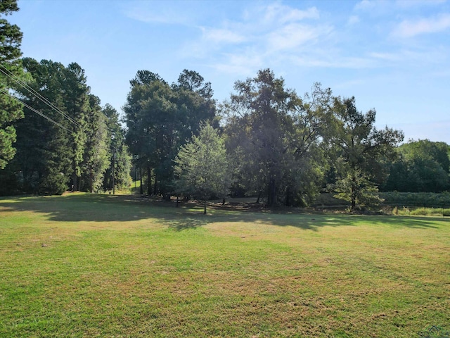 1017 Pheasant Rd, Gilmer, TX 75647 - photo 4