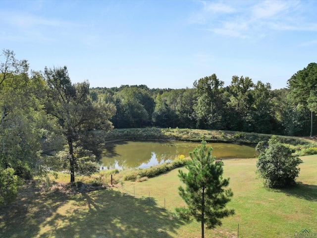 1017 Pheasant Rd, Gilmer, TX 75647 - photo 10