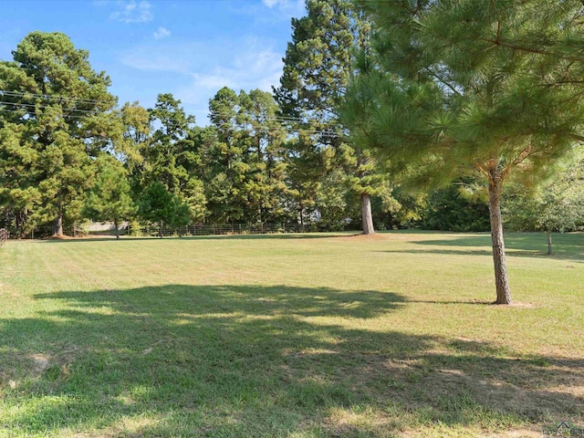 1017 Pheasant Rd, Gilmer, TX 75647 - photo 31