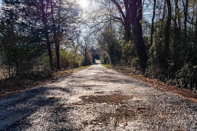 view of street with a view of trees