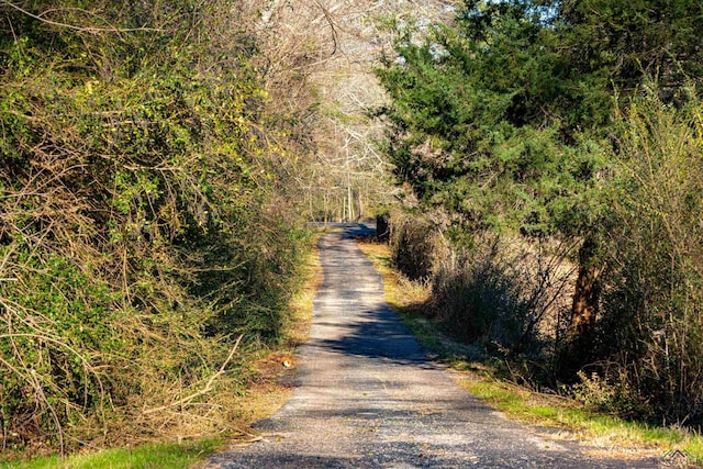 view of street with a forest view