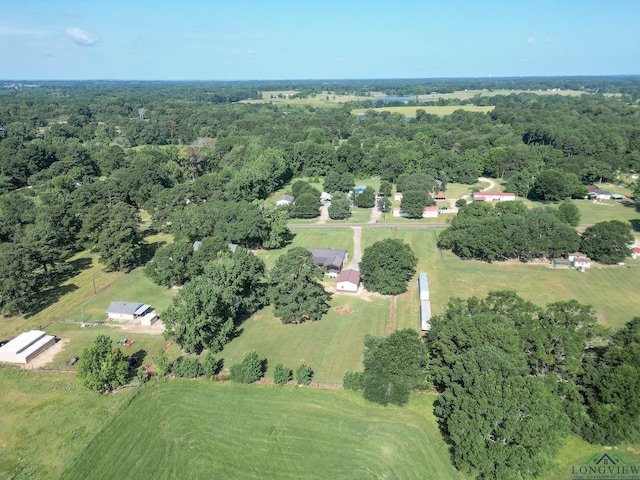 1310 N Juanita Rd, Longview, TX 75605 - photo 38