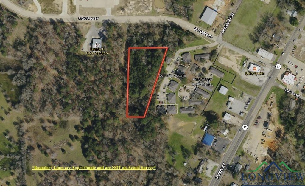 TBD Richards St, Quitman, TX 75783 - photo 1