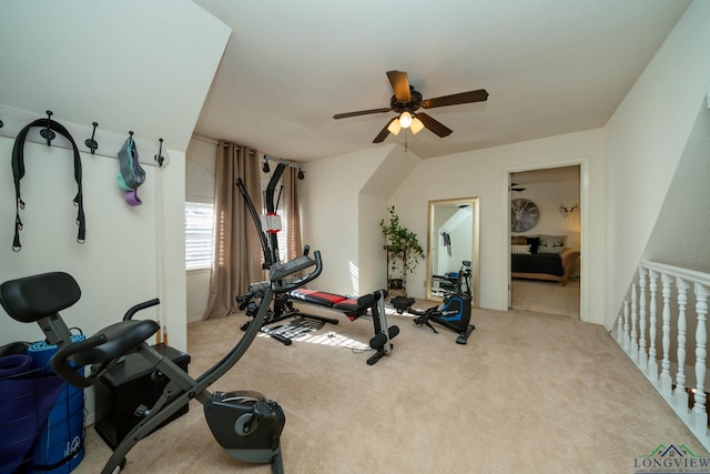 workout area with carpet flooring