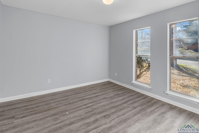 spare room featuring wood-type flooring