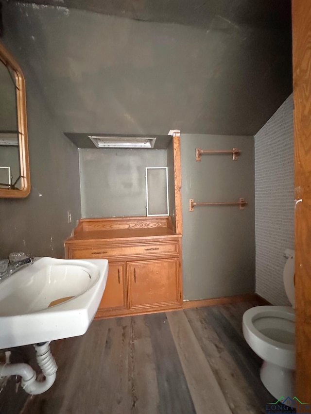 bathroom featuring a sink, toilet, and wood finished floors