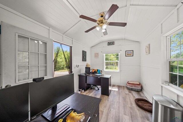13391 County Road 4336, Larue, TX 75770 - office area with light wood-type flooring, healthy amount of natural light, and a ceiling fan
