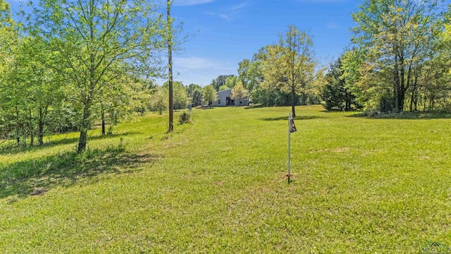 13391 County Road 4336, Larue, TX 75770 - view of grassy yard