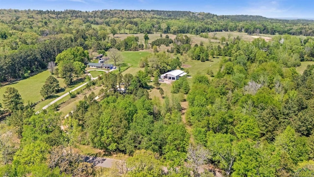 13391 County Road 4336, Larue, TX 75770 - aerial overview of property's location with a heavily wooded area