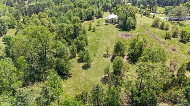 13391 County Road 4336, Larue, TX 75770 - bird's eye view of a forest