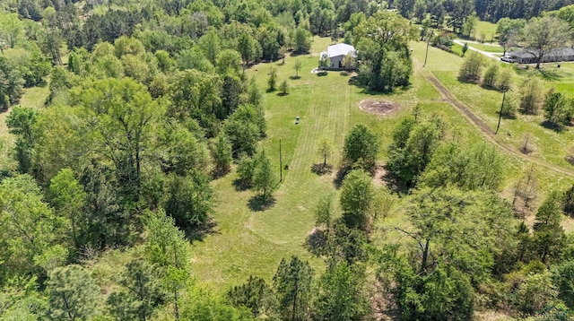13391 County Road 4336, Larue, TX 75770 - drone / aerial view of a heavily wooded area