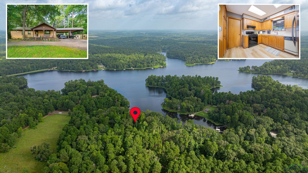 3058 County Road 1596, Avinger, TX 75630 - aerial view featuring a water view
