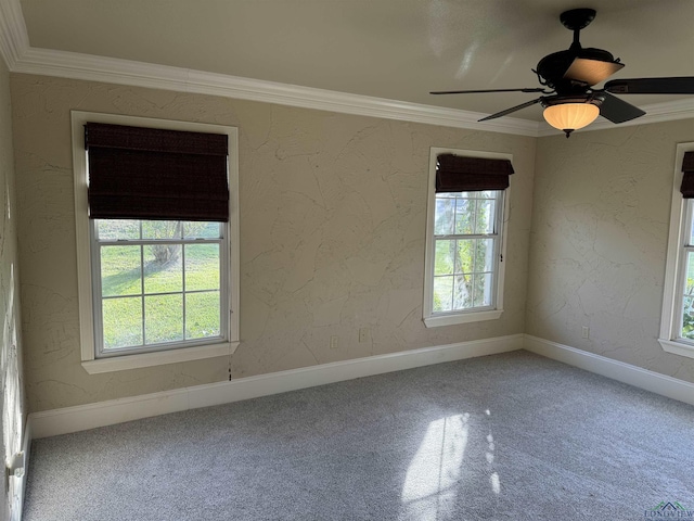 spare room featuring carpet flooring, crown molding, and ceiling fan