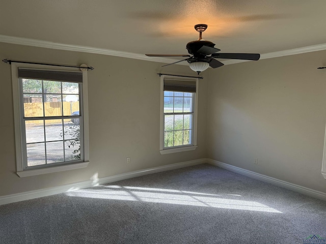 carpeted spare room with ceiling fan and ornamental molding