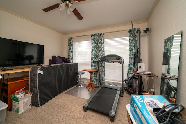 workout area with ceiling fan, carpet, and ornamental molding