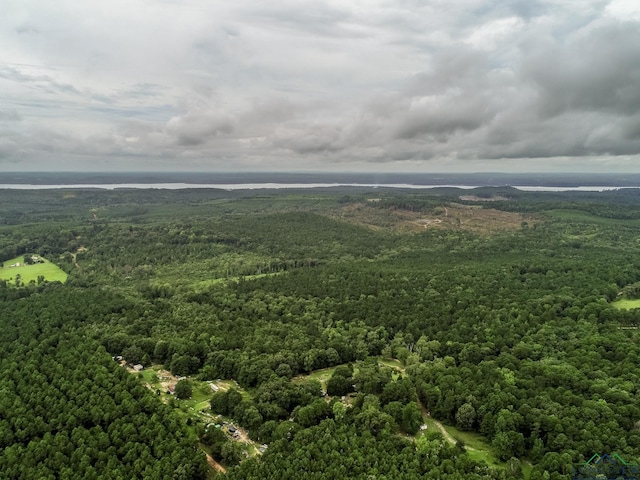 1600 Josey Taylor Rd, Avinger, TX 75630