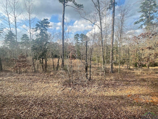 Listing photo 2 for LOT7 Lake Gladewater Rd, Gladewater TX 75647