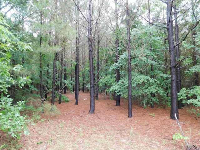 Listing photo 2 for TBD Groundhog, Gilmer TX 75644