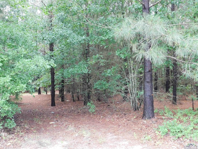 Listing photo 3 for TBD Groundhog, Gilmer TX 75644