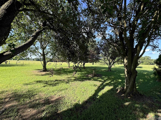 view of yard with a rural view