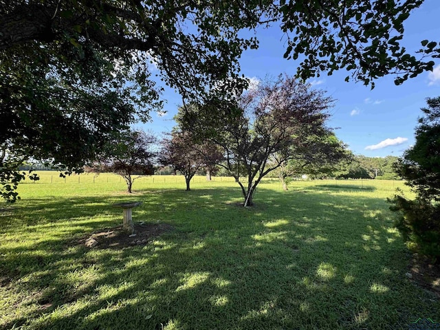 view of yard featuring a rural view