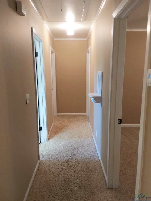 1011 Hillcrest St, Linden, TX 75563 - photo 16