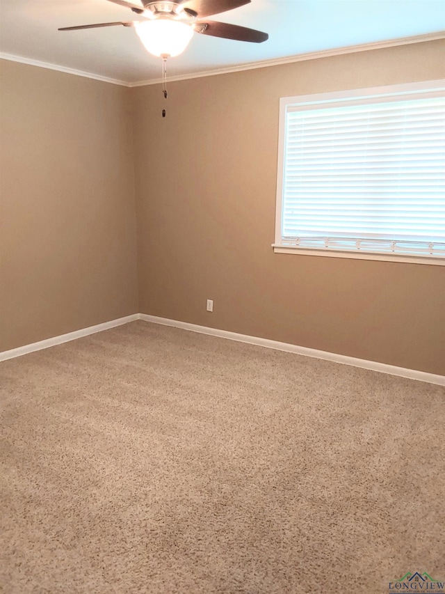 1011 Hillcrest St, Linden, TX 75563 - photo 18