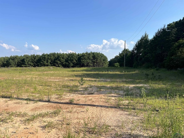 LOT11 Jacklyn Ln, Diana TX, 75640 land for sale