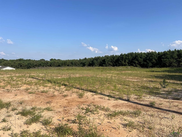 Listing photo 2 for LOT11 Jacklyn Ln, Diana TX 75640