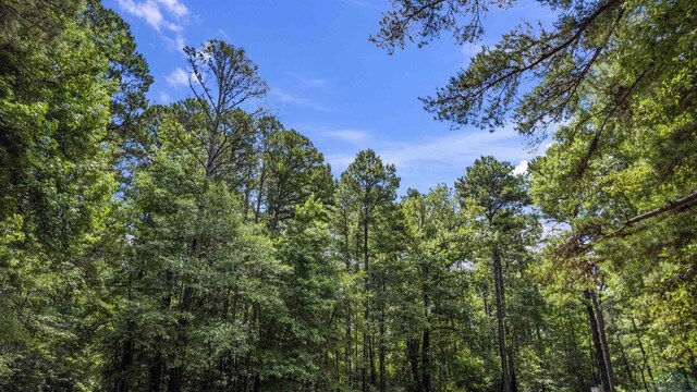 TBD Fm 1845, Longview, TX 75604 - photo 13