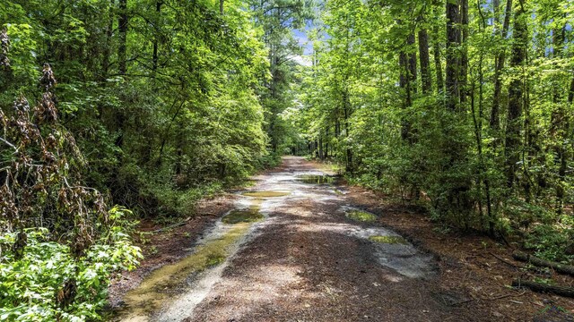 TBD Fm 1845, Longview, TX 75604 - photo 10