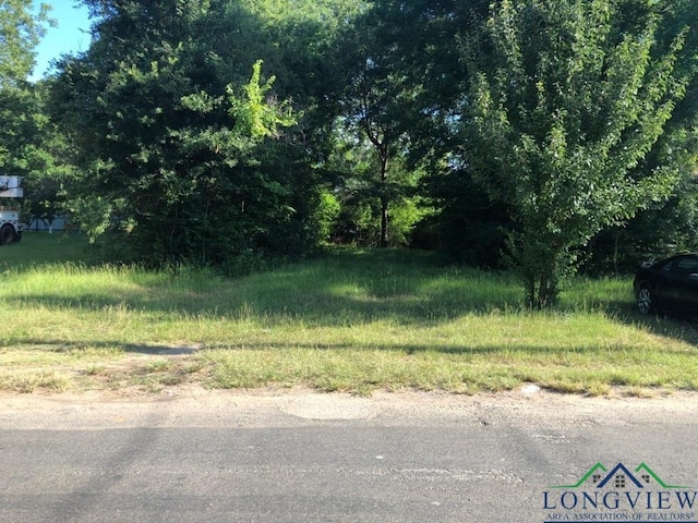 115 Richardson Dr, Longview TX, 75602 land for sale