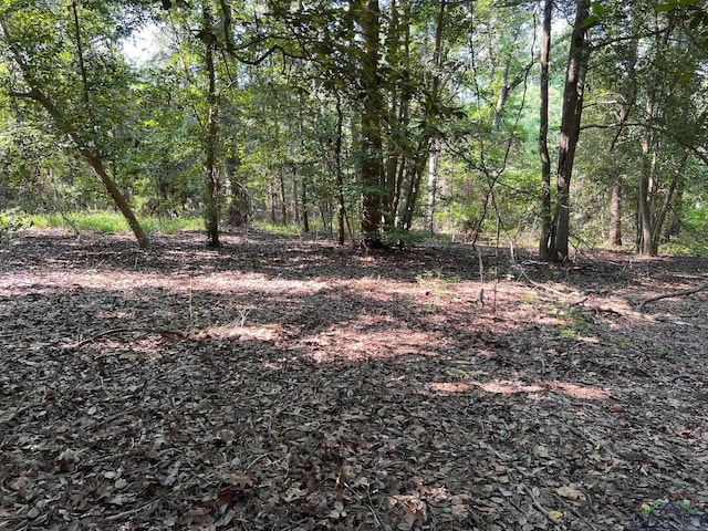 Listing photo 3 for LOT7 Dogwood Dr, Murchison TX 75778