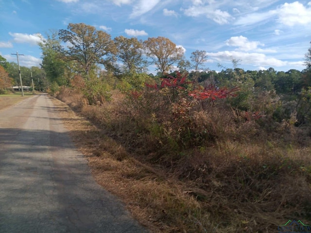 TBD1 Geranium Rd, Ore City TX, 75683 land for sale