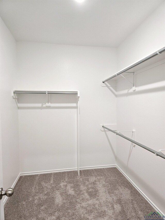 spacious closet featuring carpet floors