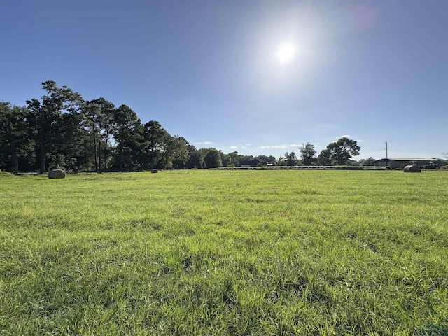 TBD Cr 1203, Daingerfield, TX 75638 - photo 6