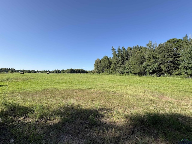 TBD Cr 1203, Daingerfield, TX 75638 - photo 5