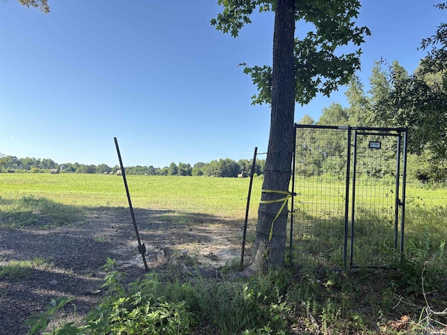 TBD Cr 1203, Daingerfield, TX 75638 - photo 3