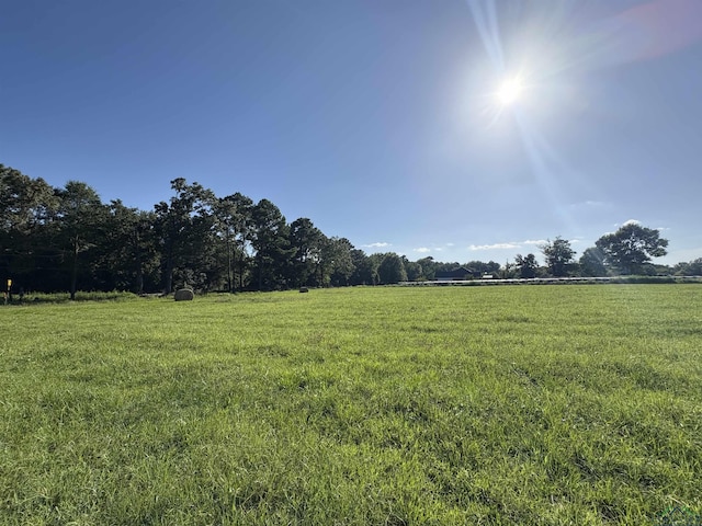 TBD Cr 1203, Daingerfield, TX 75638 - photo 9
