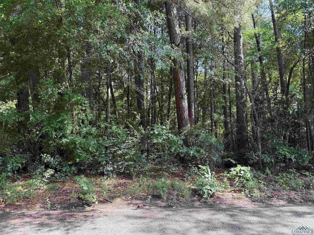 801 Ethel St, Longview, TX 75602 - photo 1